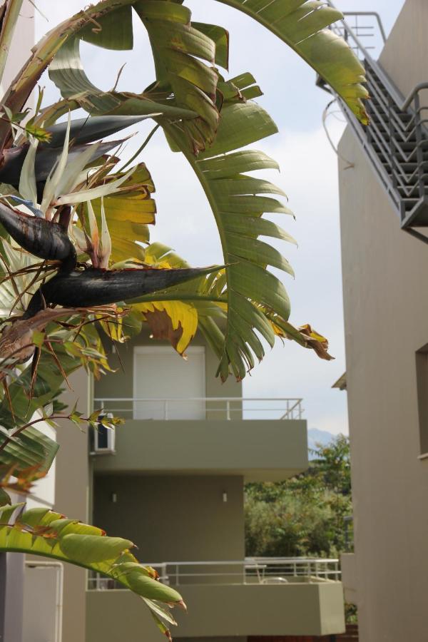 Kamares Apts - Antonis Cozy Maisonette Chania  Ngoại thất bức ảnh